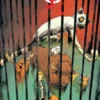 AFTERSHOCK: ANIMOSITY Nº05 [CARTONE]