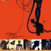 CATWOMAN: SI VAS A ROMA [CARTONE]