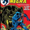 MARVEL GOLD: PANTERA NEGRA VOL.01, LA FURIA DE LA PANTERA [CARTONE]