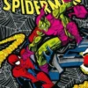 MARVEL HEROES: EL ESPECTACULAR SPIDERMAN DE J. M. DEMATTEIS Y SAL BUSCEMA [CARTONE]
