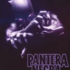 PANTERA NEGRA DE EVE EWING Nº01: REINADO EN LA SOMBRA [RUSTICA]