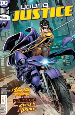 YOUNG JUSTICE Nº19